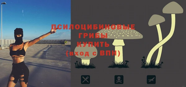 бошки Алзамай