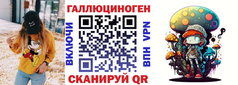 Галлюциногенные грибы Psilocybine cubensis  Усть-Катав 